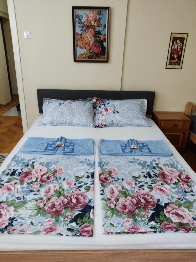 Apartment Fenix Ni 外观 照片